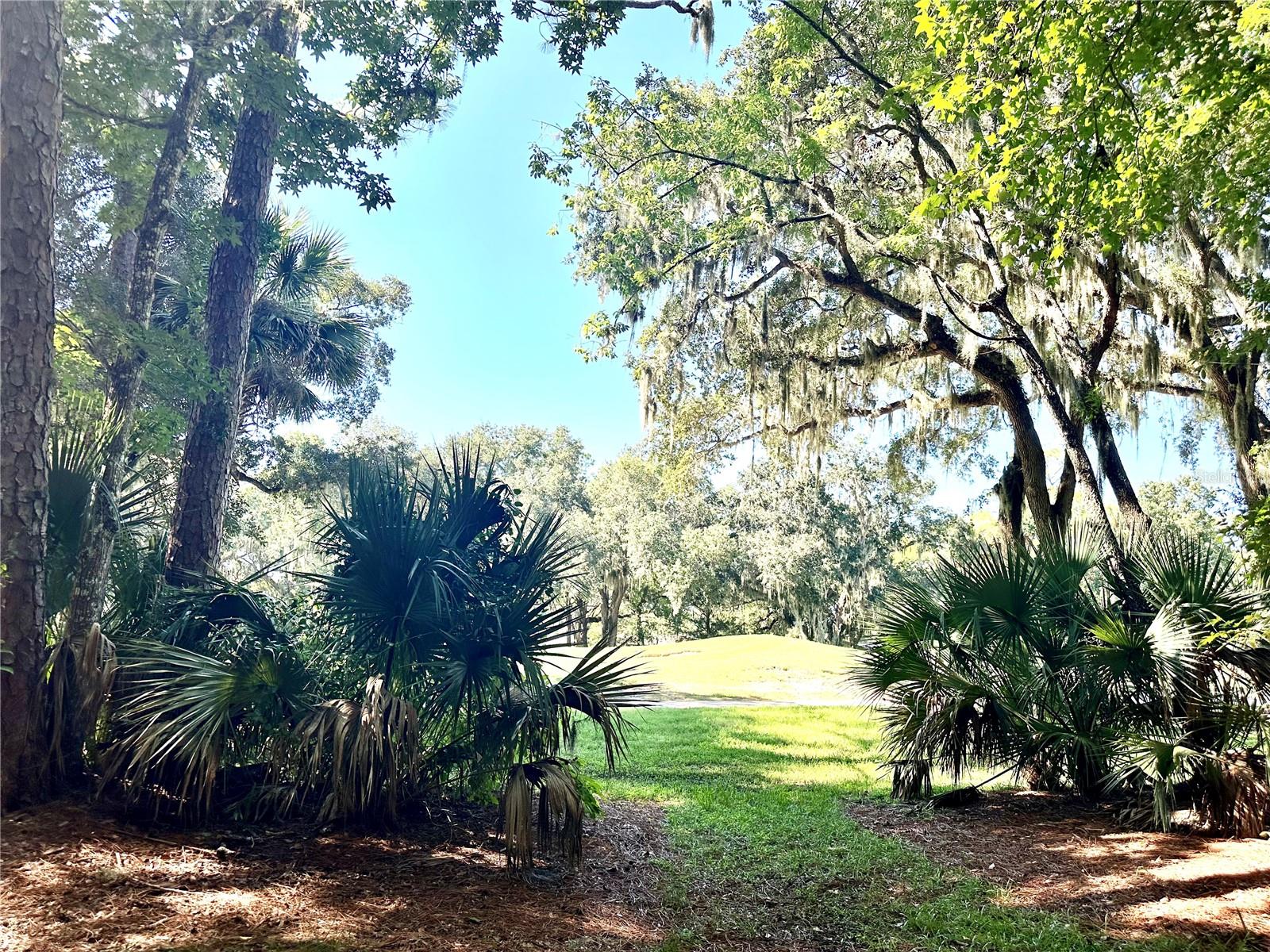 PALM COAST FAIRWAYS CONDO - Residential