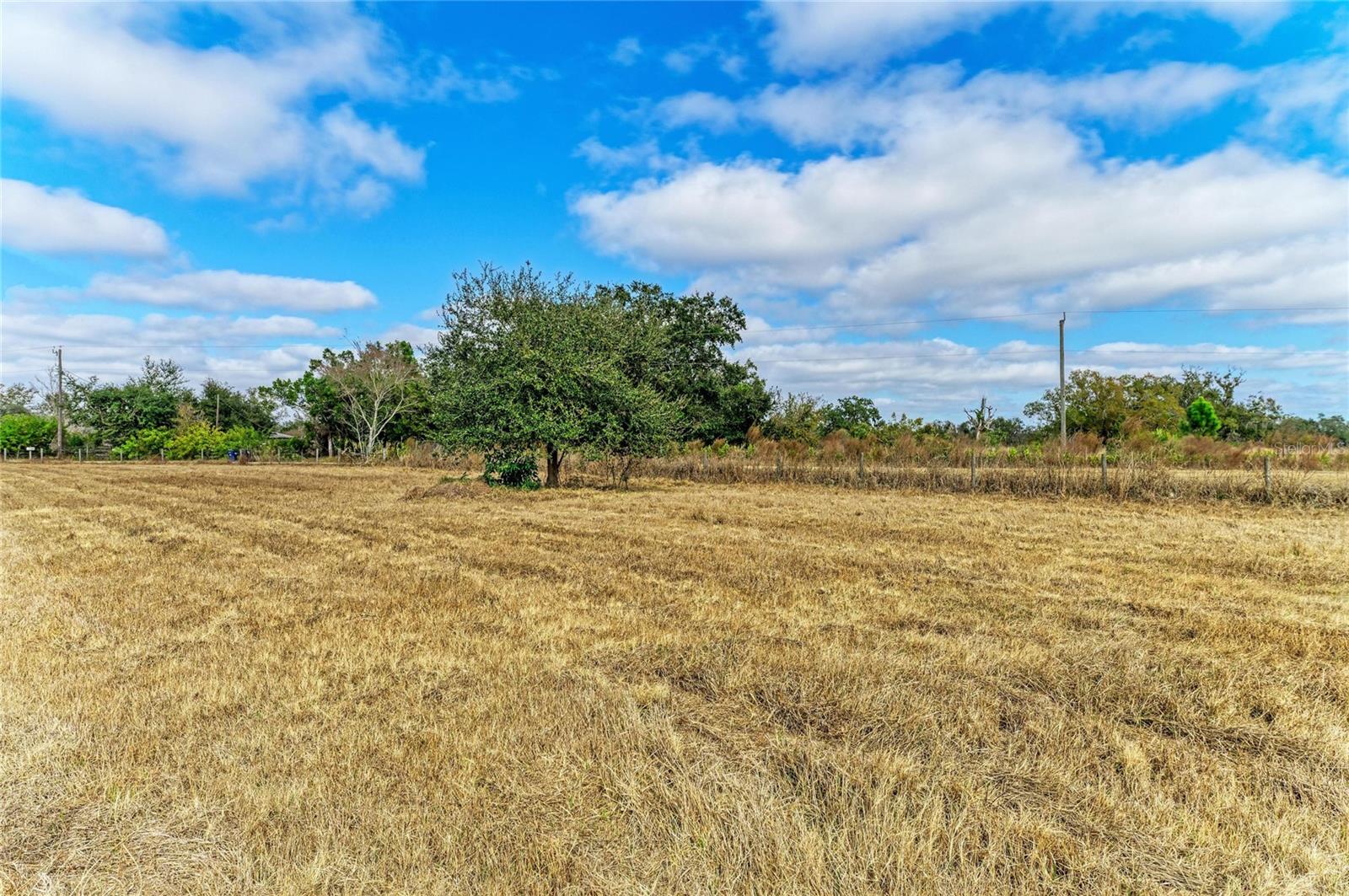 ACREAGE - Residential