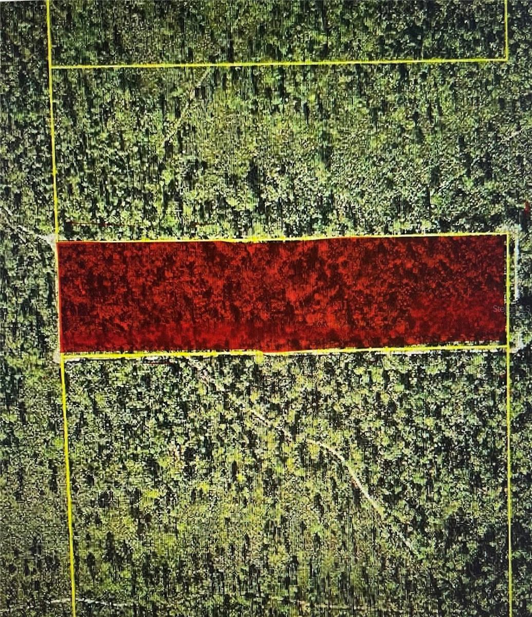 OCALA NATIONAL FOREST - Land