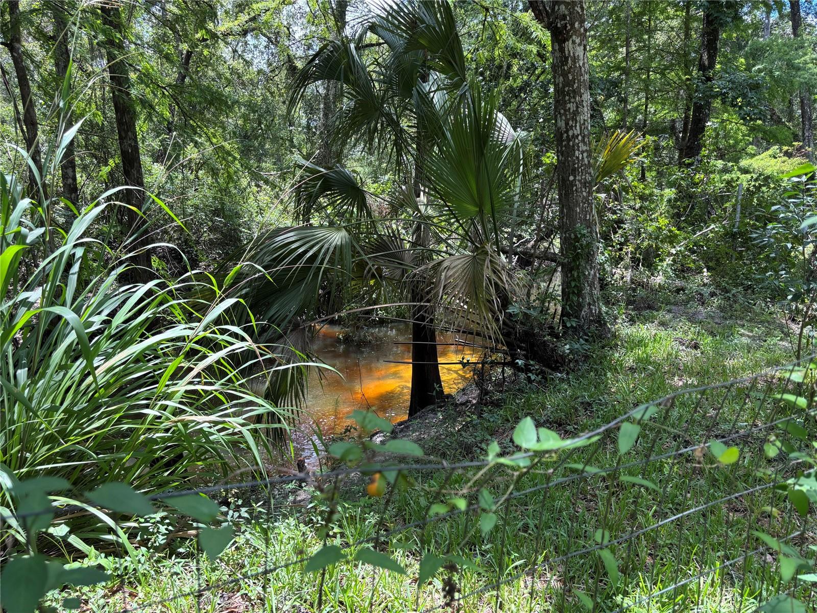 KAL-RIVER FOREST - Residential