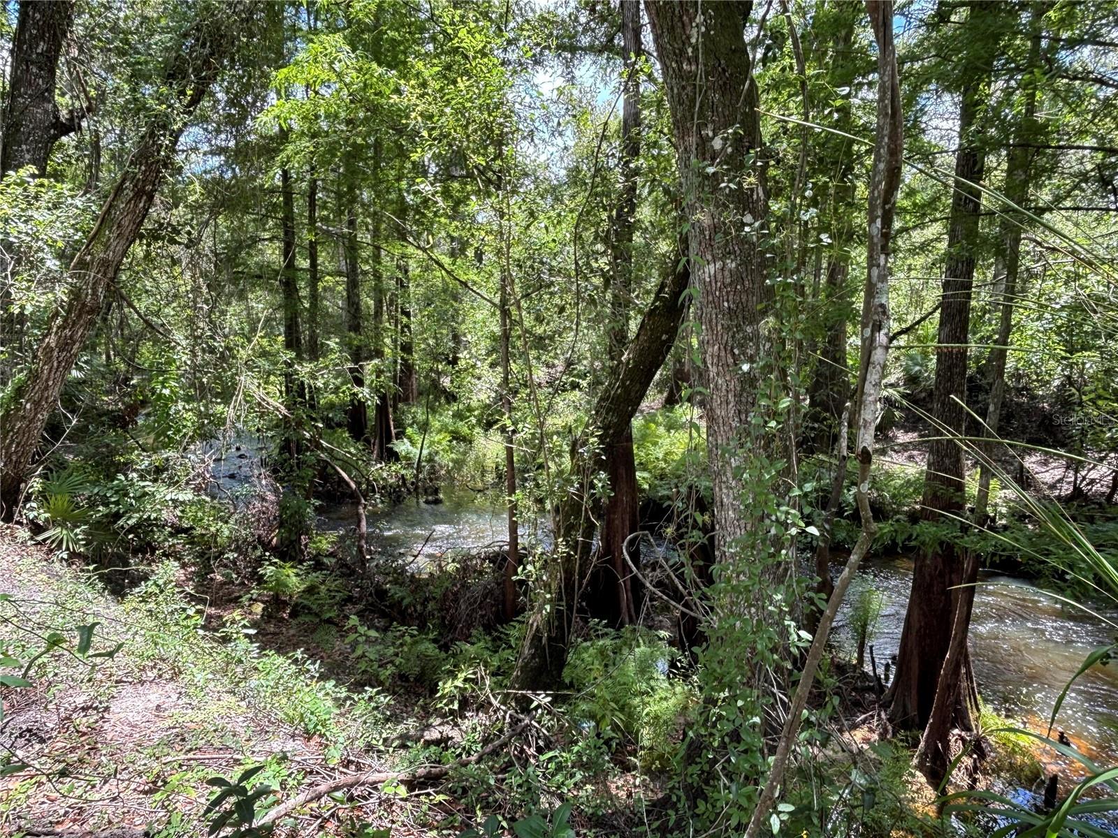 KAL-RIVER FOREST - Residential