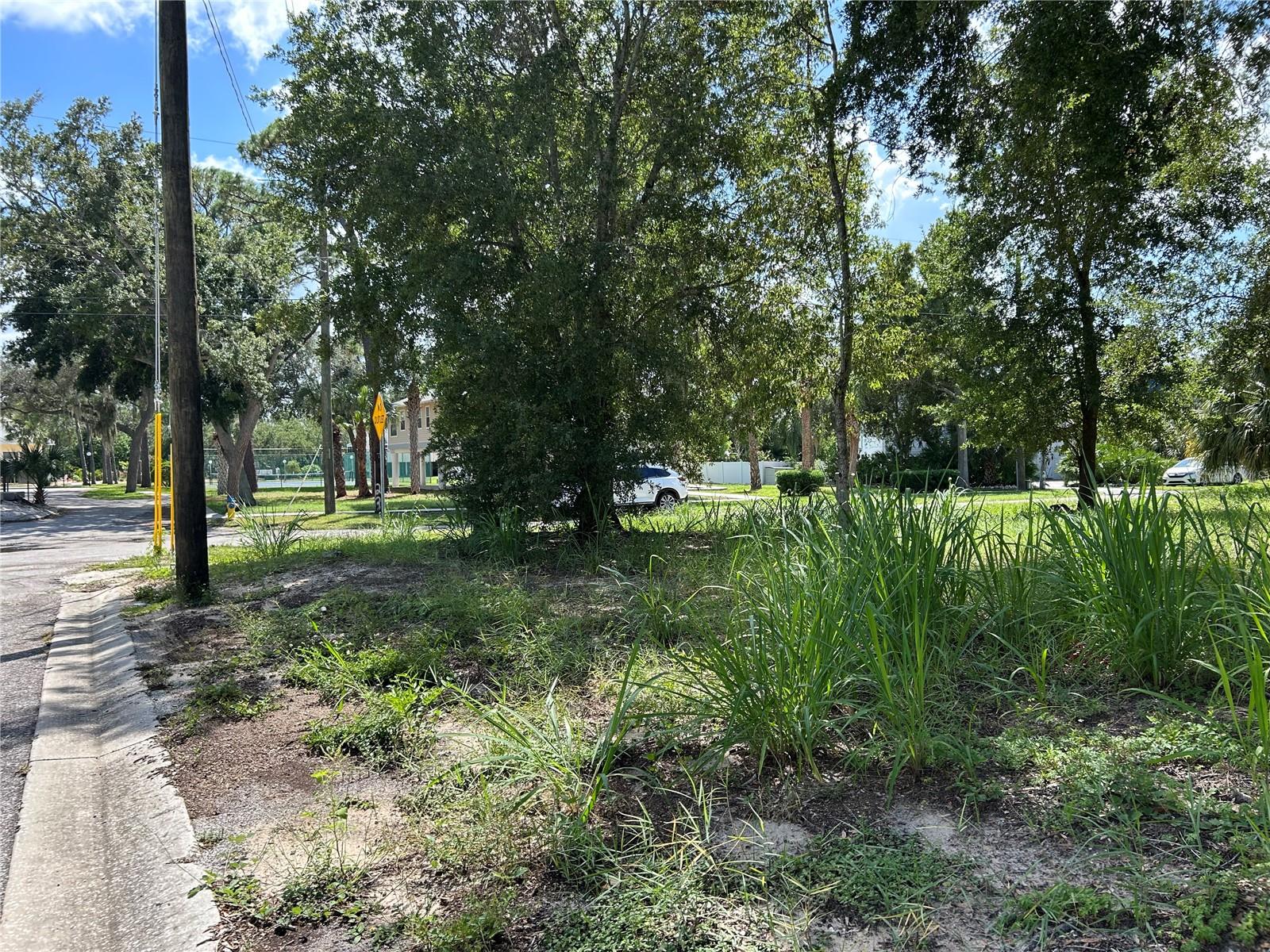 VENTNOR AVENUE