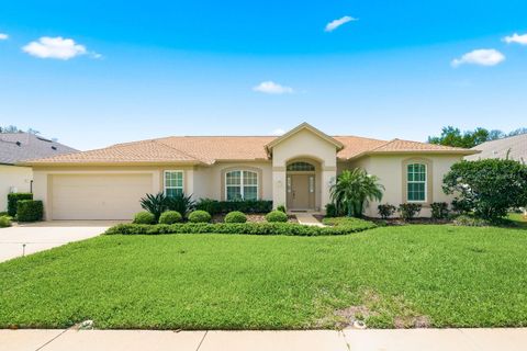 537 BELTED KINGFISHER DRIVE N PALM HARBOR FL 34683