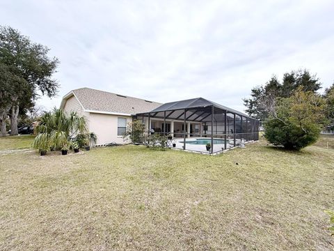 A home in DADE CITY