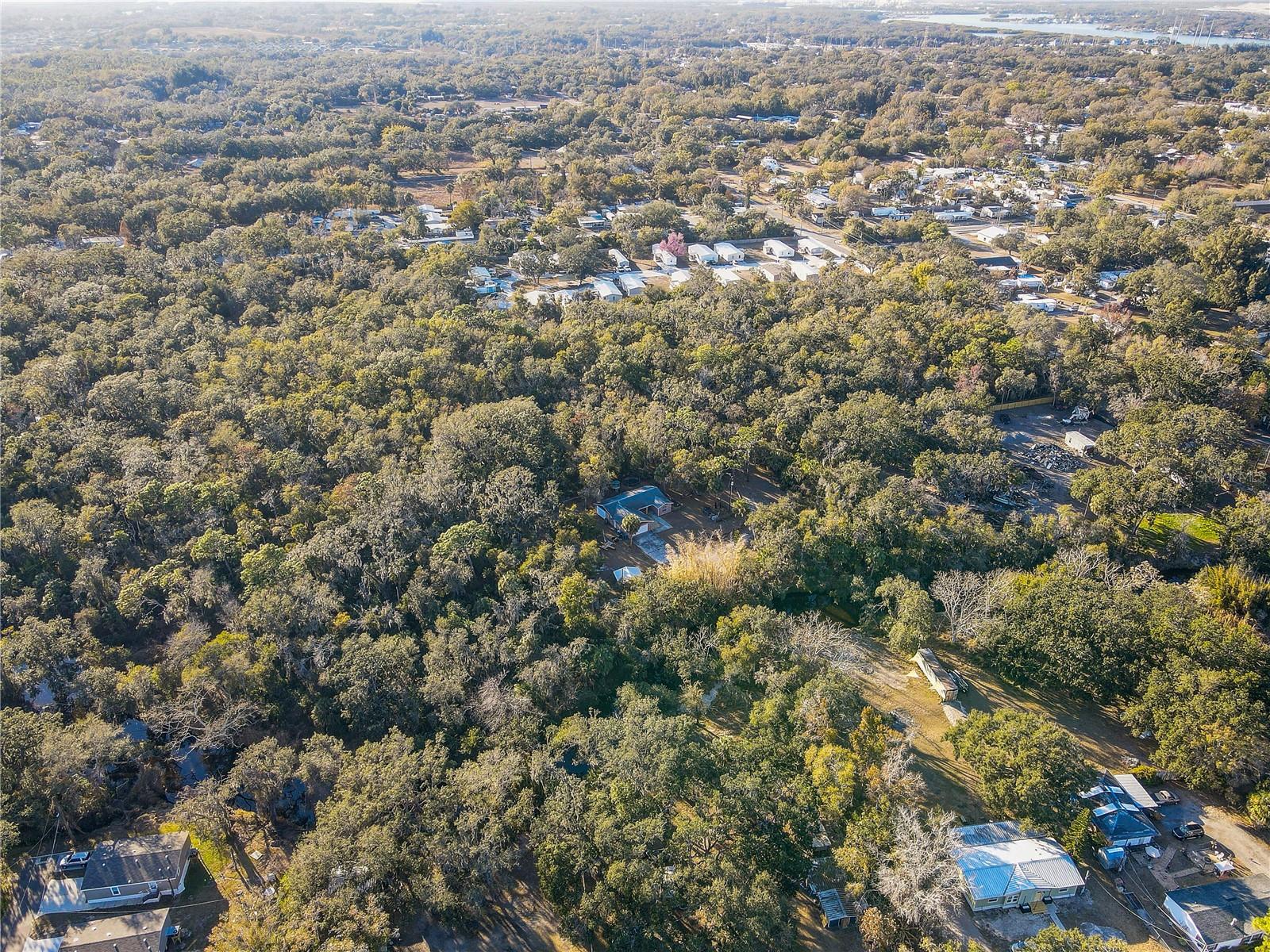 FLORIDA GARDEN LANDS REV M - Residential