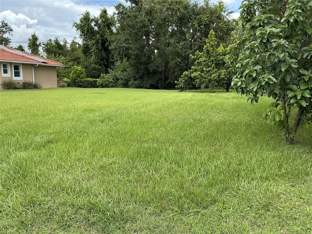 Photo of 21049 Los Cabos Court, Land O Lakes, FL 34637 (MLS # TB8557062)
