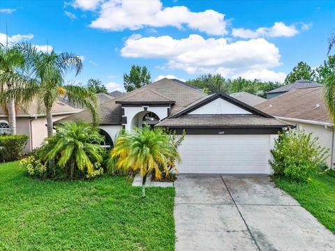 18419 MERSEYSIDE LOOP LAND O LAKES FL 34638