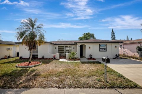 Photo of 7210 Parrot Drive, Port Richey, FL 34668 (MLS # TB8453659)