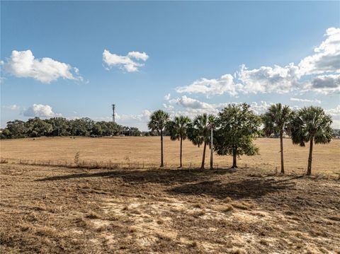 Tiny photo for County Road 101, Oxford, FL 34484 (MLS # G5106013)