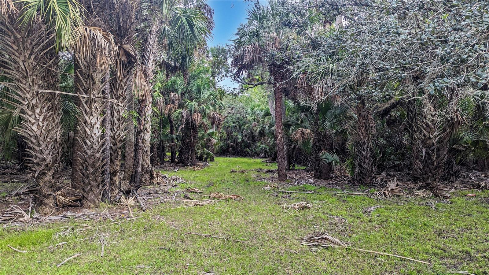 ST. JOHNS RIVER PARK - Residential