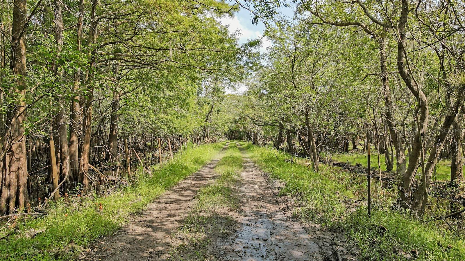 ST. JOHNS RIVER PARK - Residential