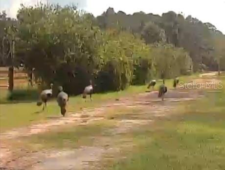 ST. JOHNS RIVER PARK - Residential