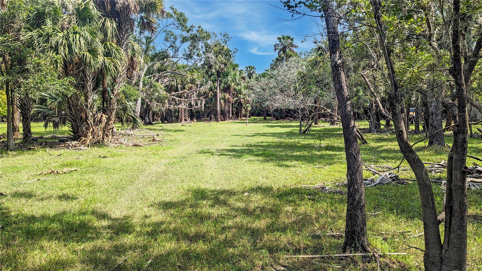 ST. JOHNS RIVER PARK - Residential