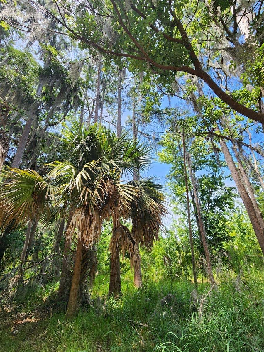 Photo of Arrowhead Boulevard, Winter Garden, FL 34787 (MLS # S5155609)