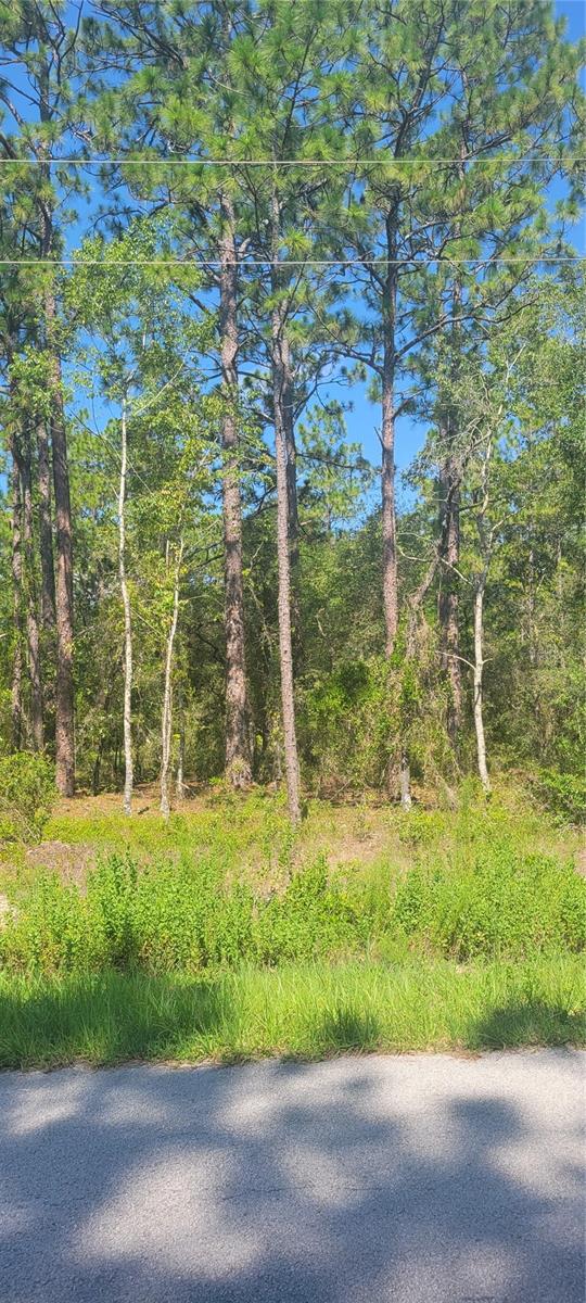 Owner financing available! Tranquil 0.26-acre wooded lot located on NW Redwood Dr in the quiet northern corner of Rainbow Lakes
Estates, Dunnellon. Surrounded by nature and with a few nearby homes; this peaceful parcel offers a true country setting on a paved
road with electricity available. Zoned R-1 for site-built homes, the lot is ideal for those seeking privacy and serenity while still enjoying
access to community amenities like parks, sports courts, fitness and youth centers. Less than a 20 minute drive to Rainbow River and
Rainbow Springs State Park. Ocala, the World Equestrian Center, Crystal River, and Florida's Nature Coast are all within 40 - 50
minutes. A perfect opportunity to build your retreat away from the hustle in a quiet, serene location.