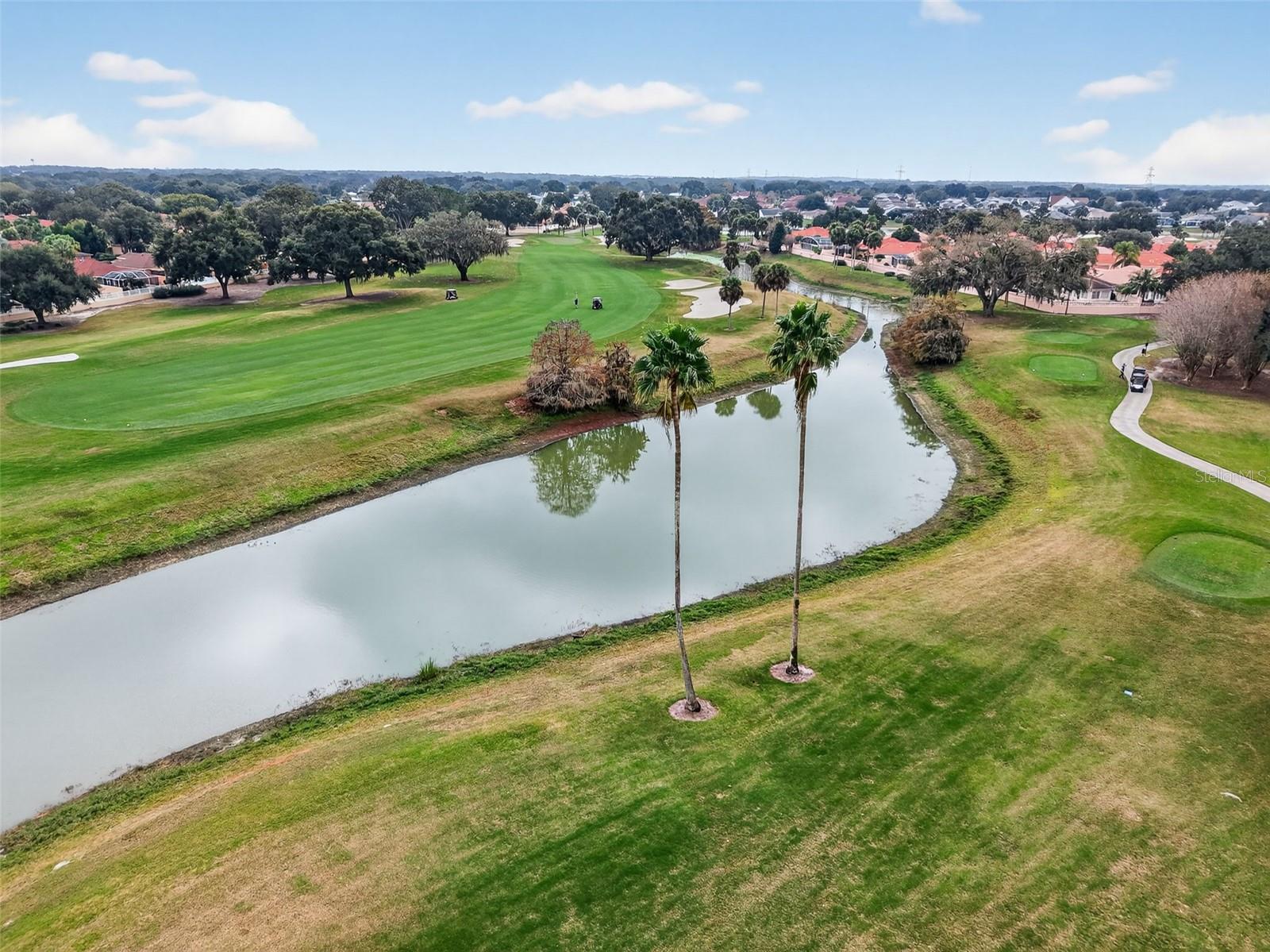 32 HICKORY HEAD HAMMOCK