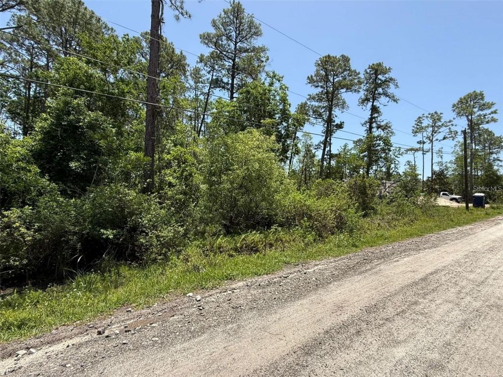 Photo of 1395 10th Avenue, Deland, FL 32724 (MLS # O6386704)