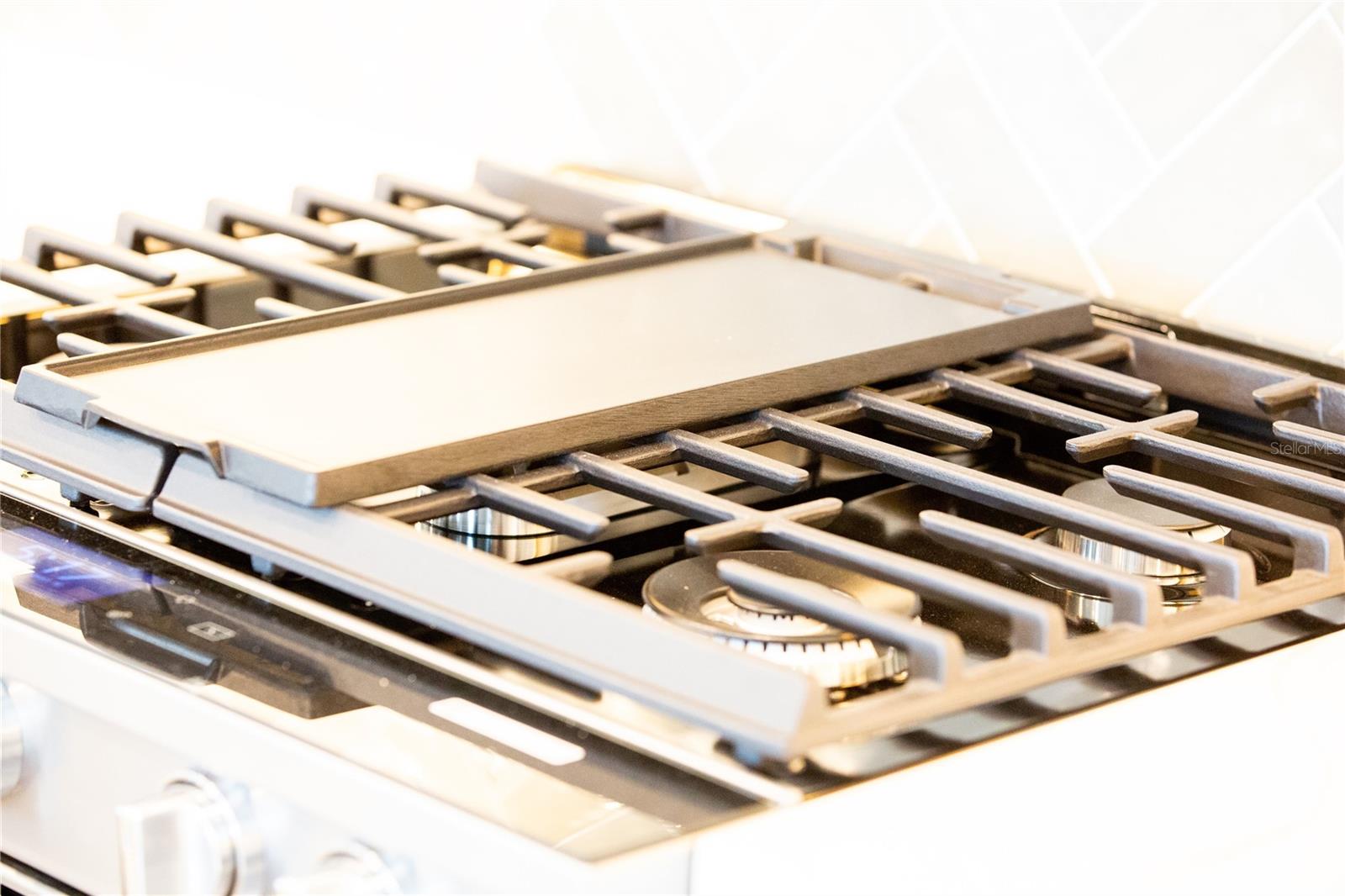 BUNGALOW WALK LAKEWOOD RANCH NEIGHBORHOOD - Residential