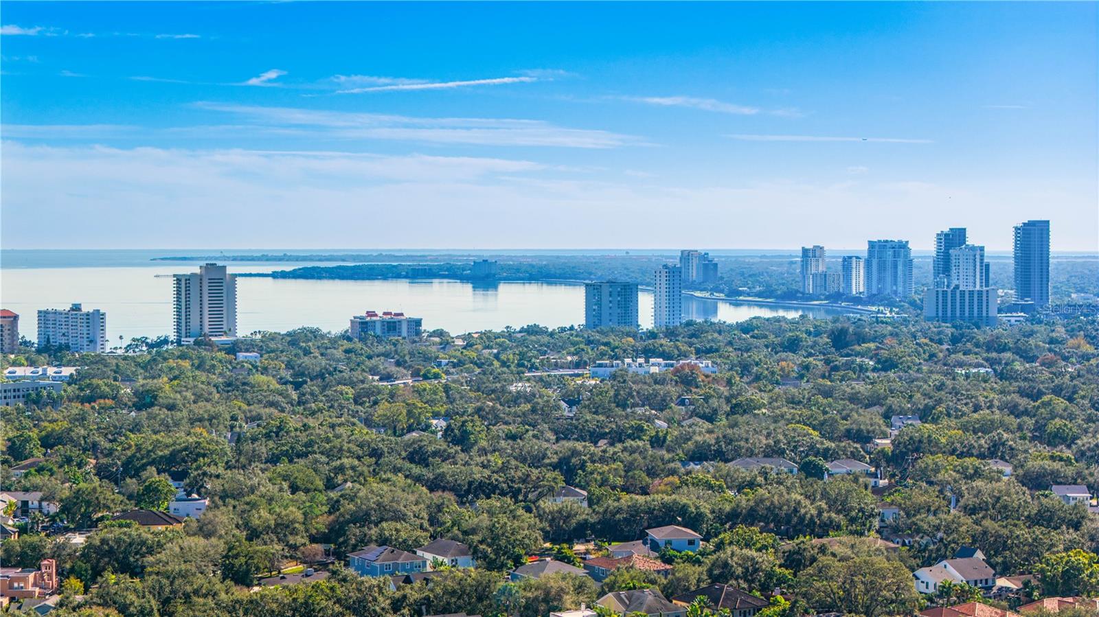 THE MADISON AT SOHO II CONDO - Residential