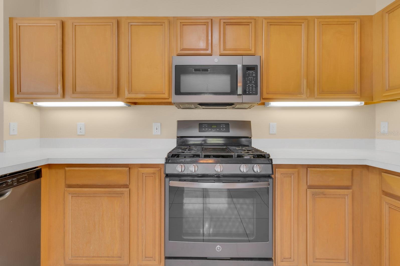 HEATHERSTONE AT CRESCENT LAKES - Residential