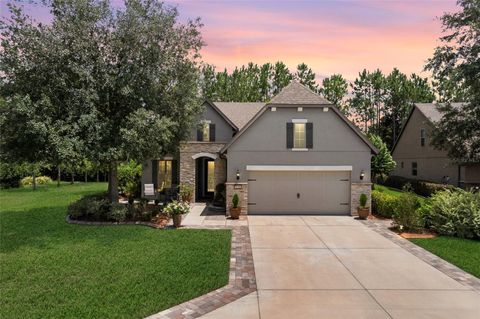 9158 SW 65TH LOOP OCALA FL 34481