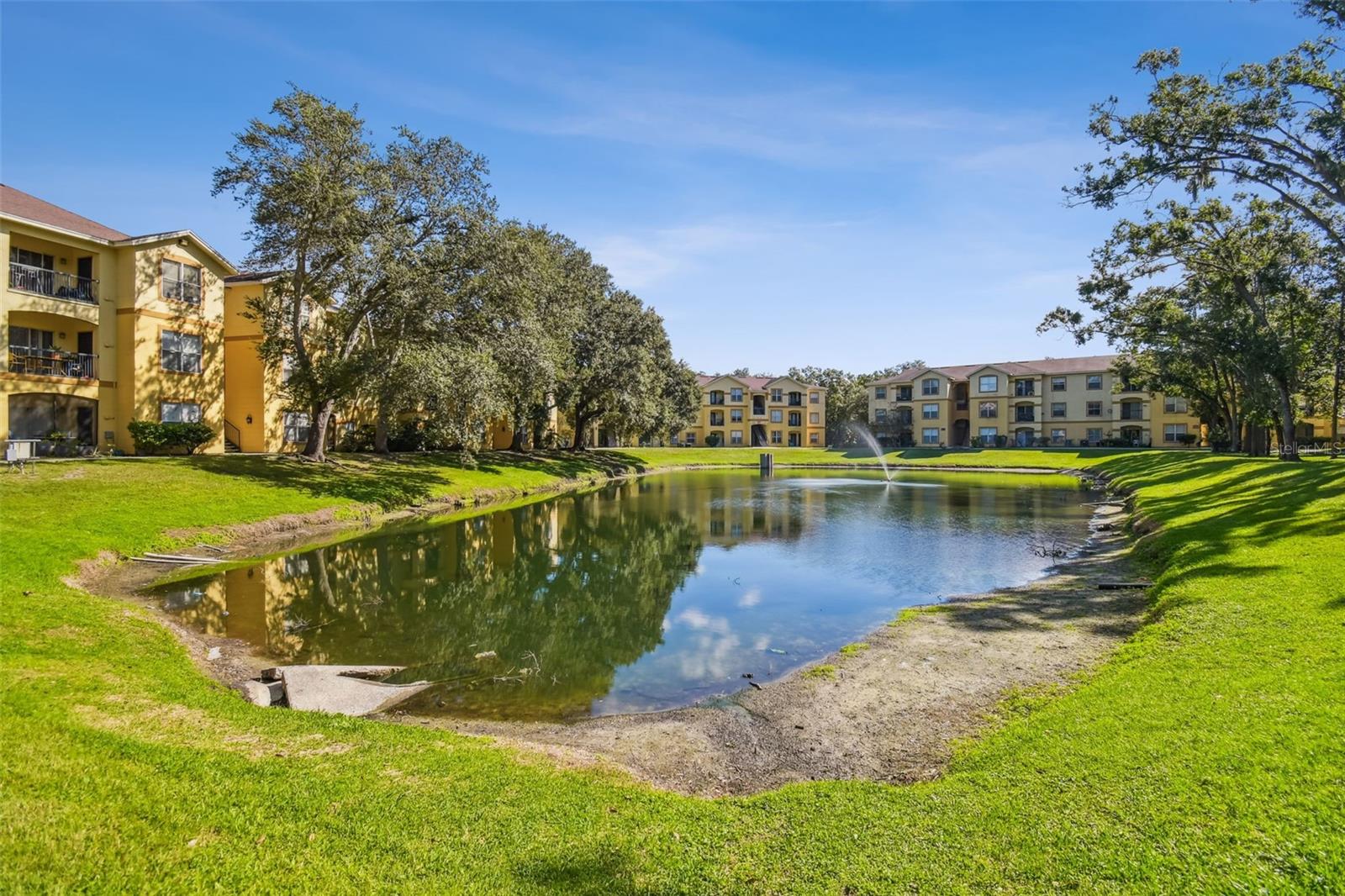 THE PINNACLE AT CARROLLWOOD A - Residential