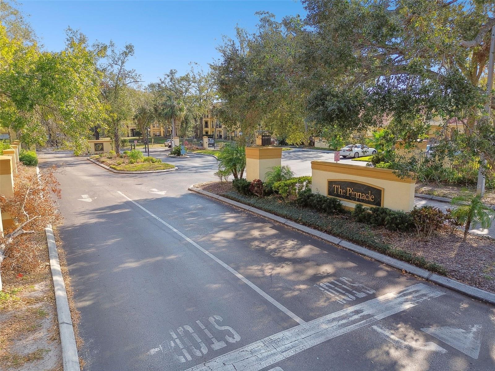 THE PINNACLE AT CARROLLWOOD A - Residential