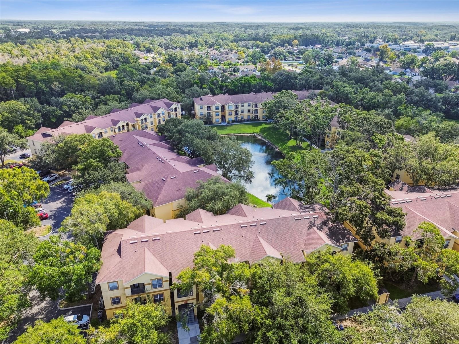 THE PINNACLE AT CARROLLWOOD A - Residential