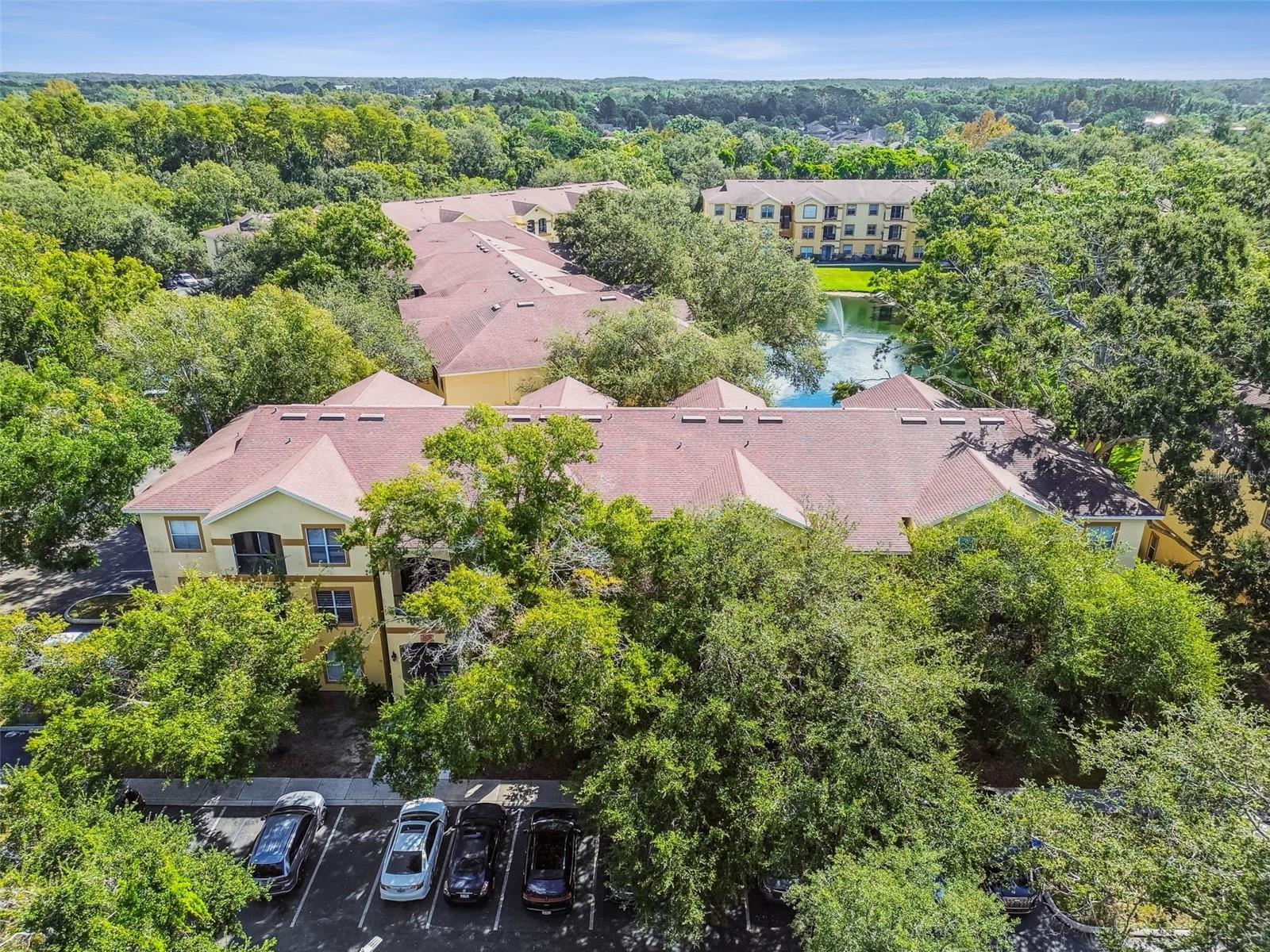 THE PINNACLE AT CARROLLWOOD A - Residential