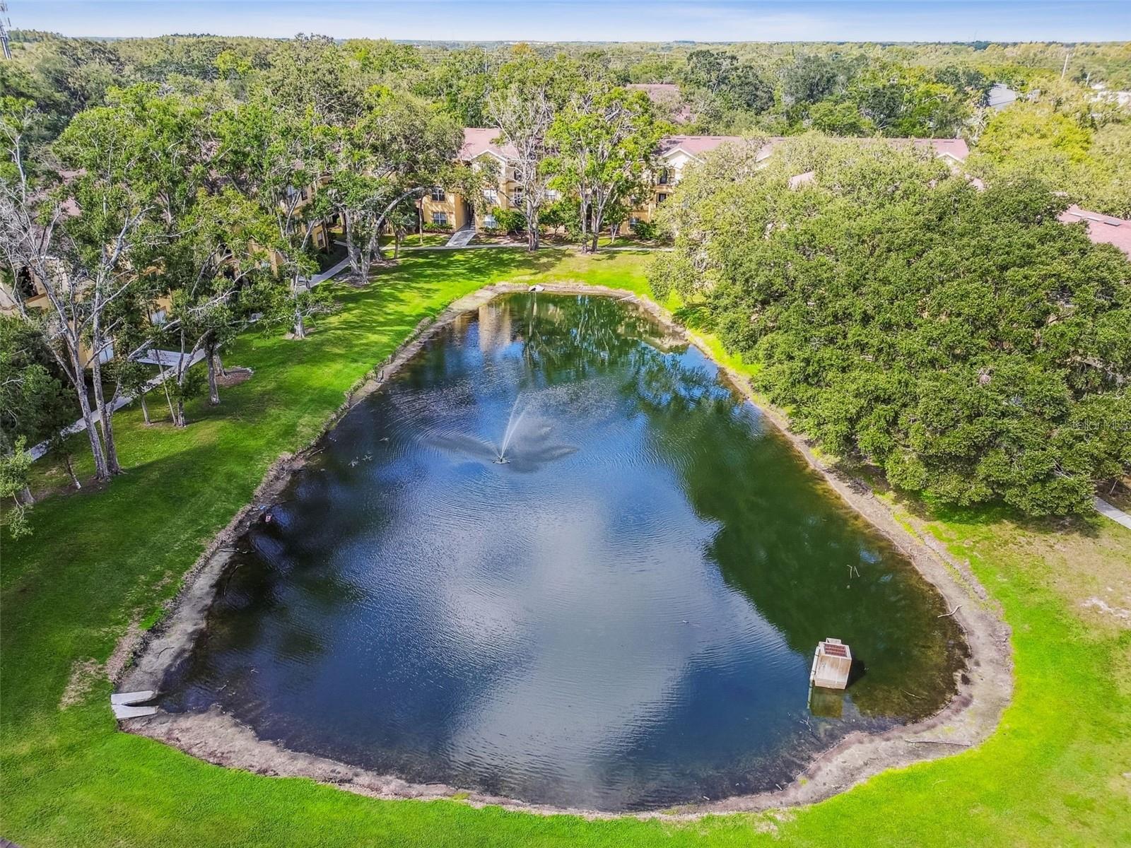 THE PINNACLE AT CARROLLWOOD A - Residential
