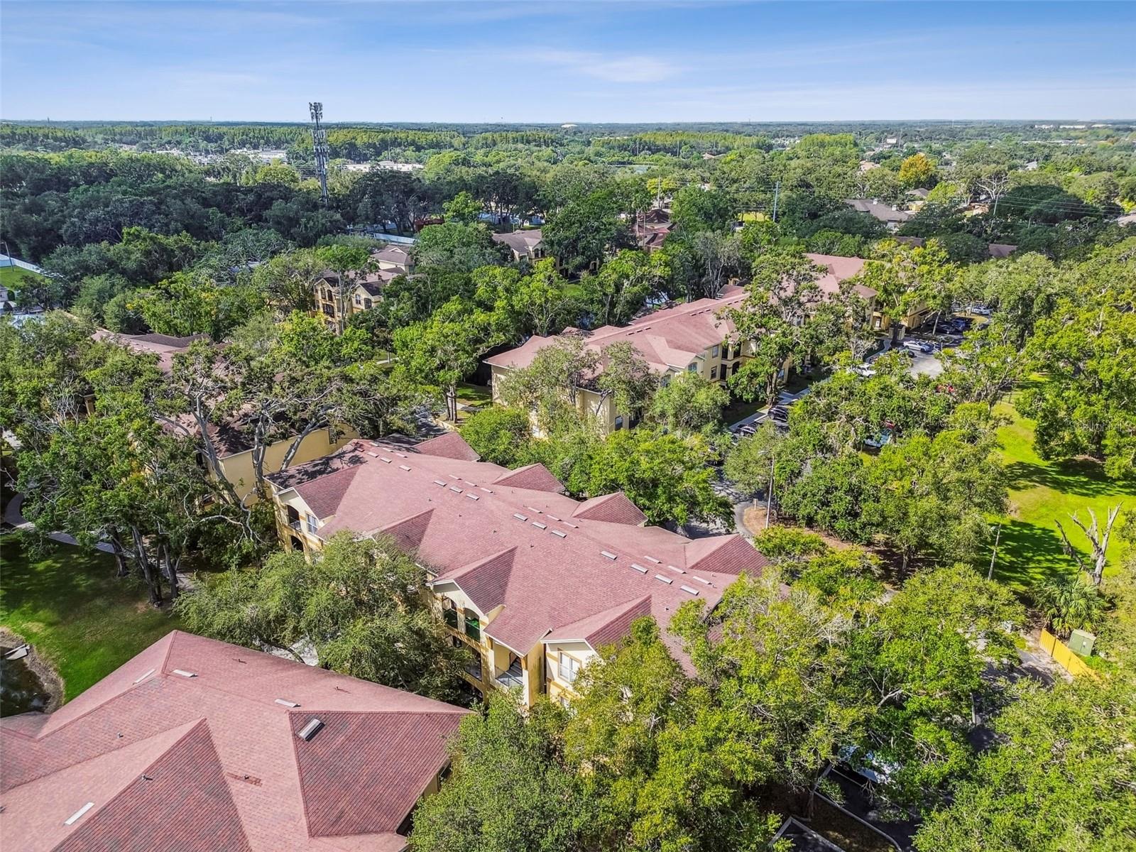 THE PINNACLE AT CARROLLWOOD A - Residential