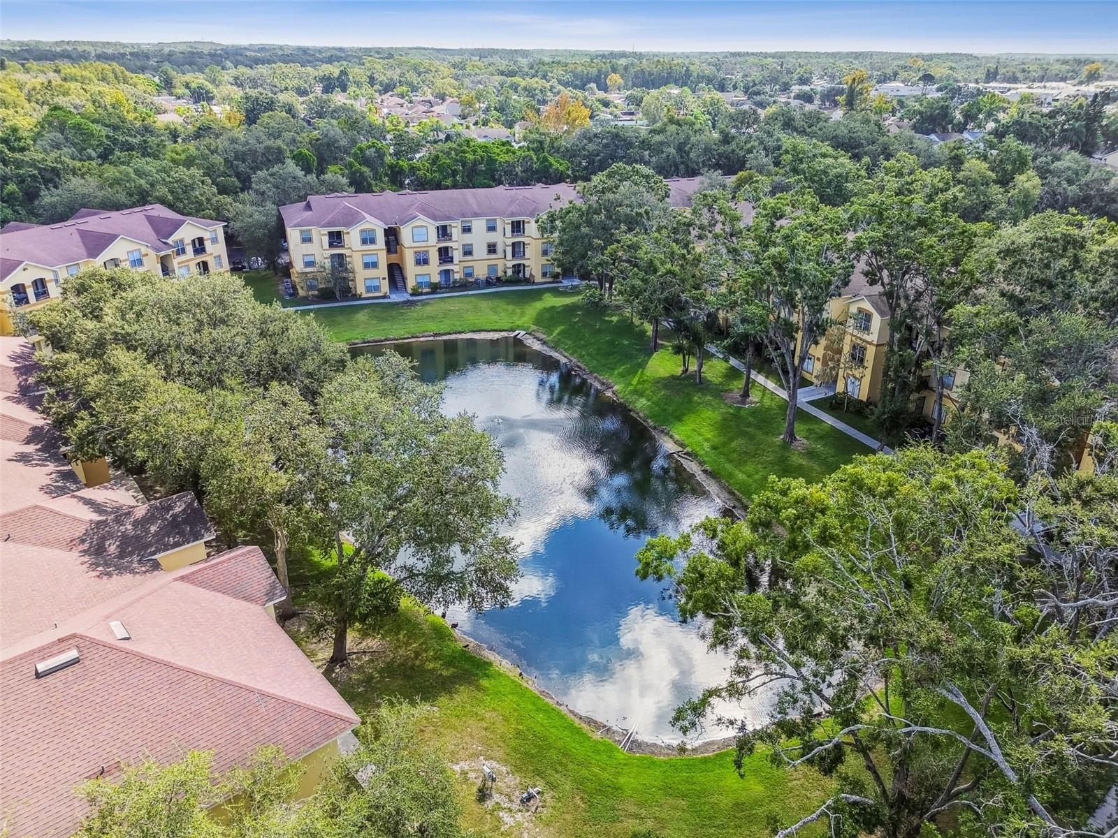 THE PINNACLE AT CARROLLWOOD A - Residential