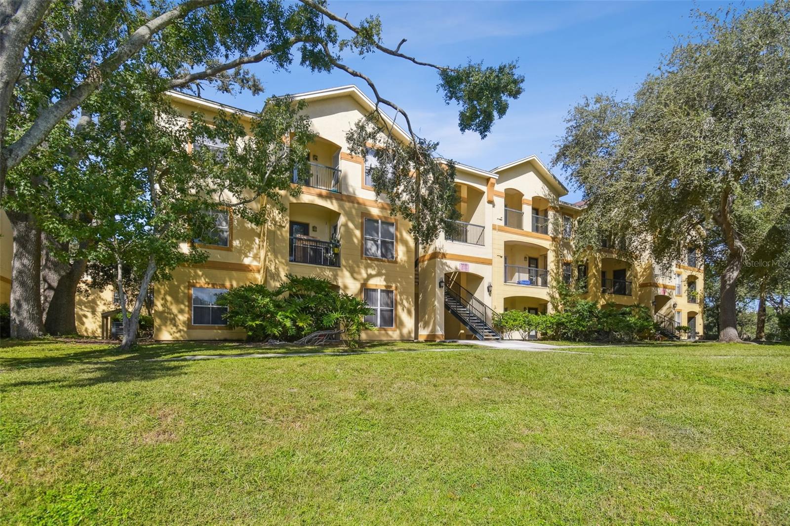 THE PINNACLE AT CARROLLWOOD A - Residential