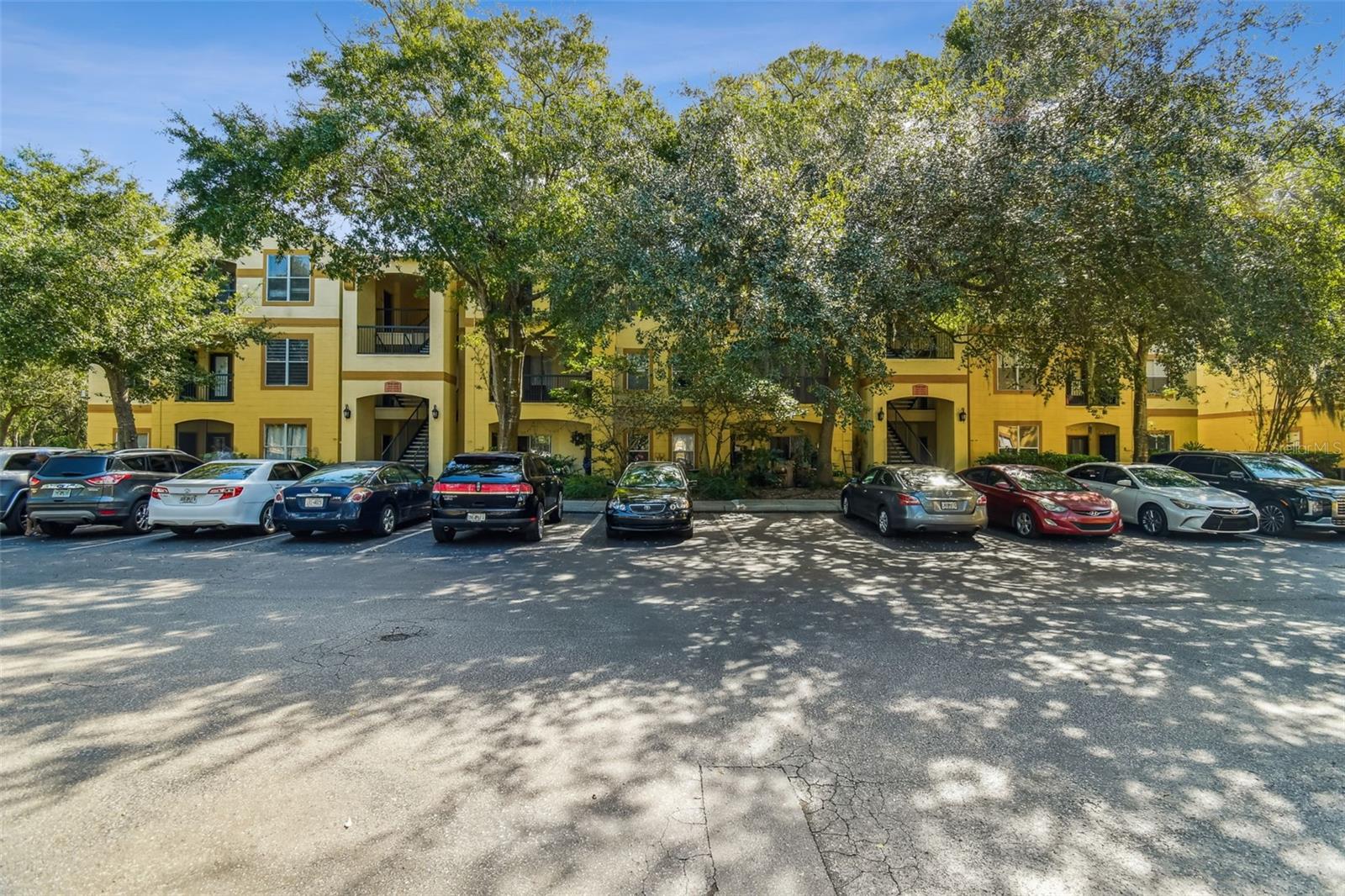 THE PINNACLE AT CARROLLWOOD A - Residential