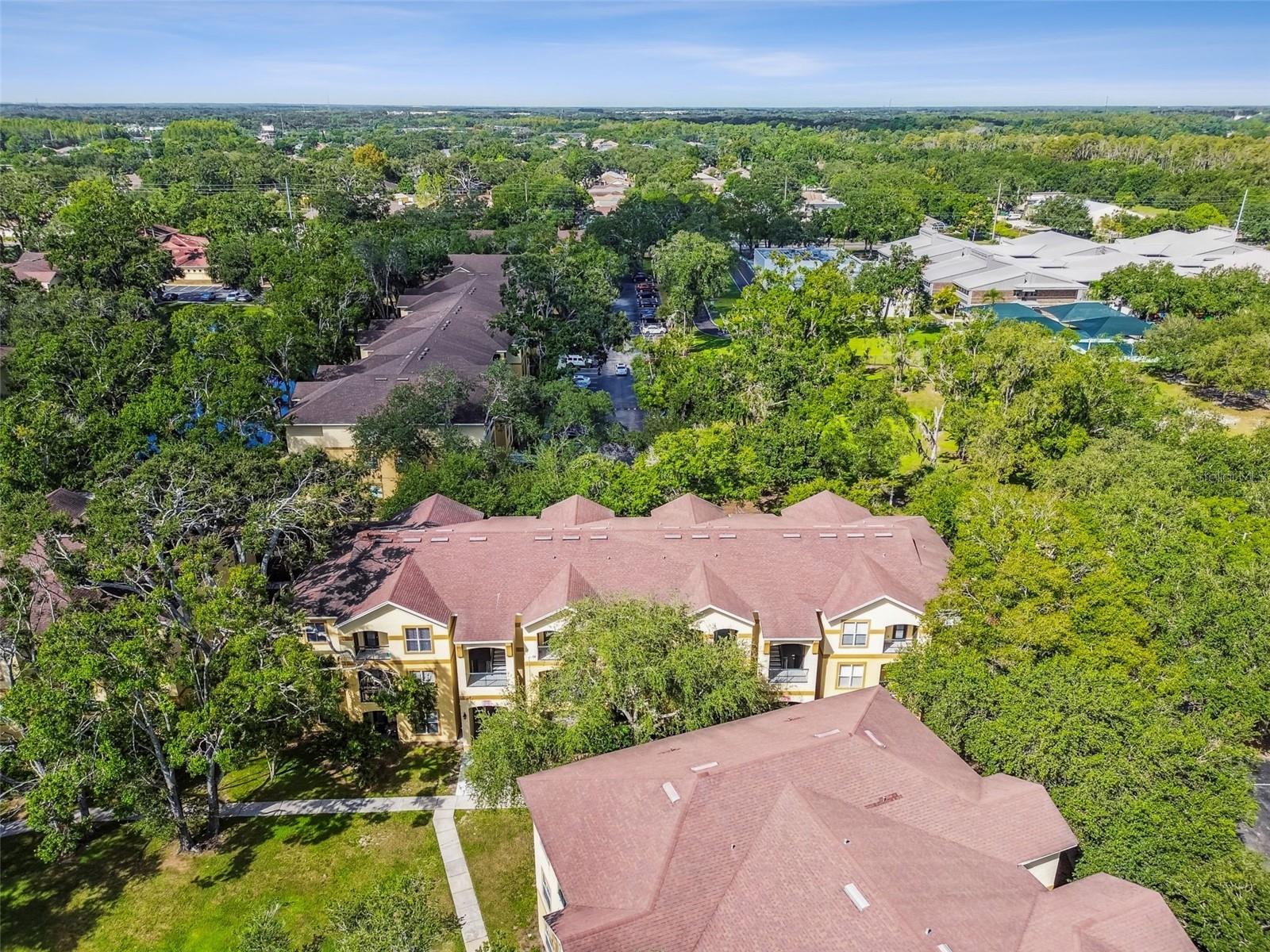 THE PINNACLE AT CARROLLWOOD A - Residential