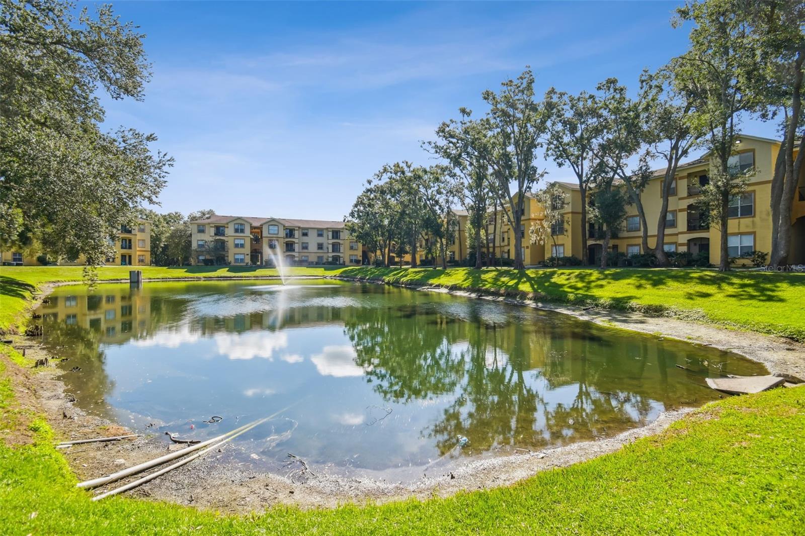 THE PINNACLE AT CARROLLWOOD A - Residential