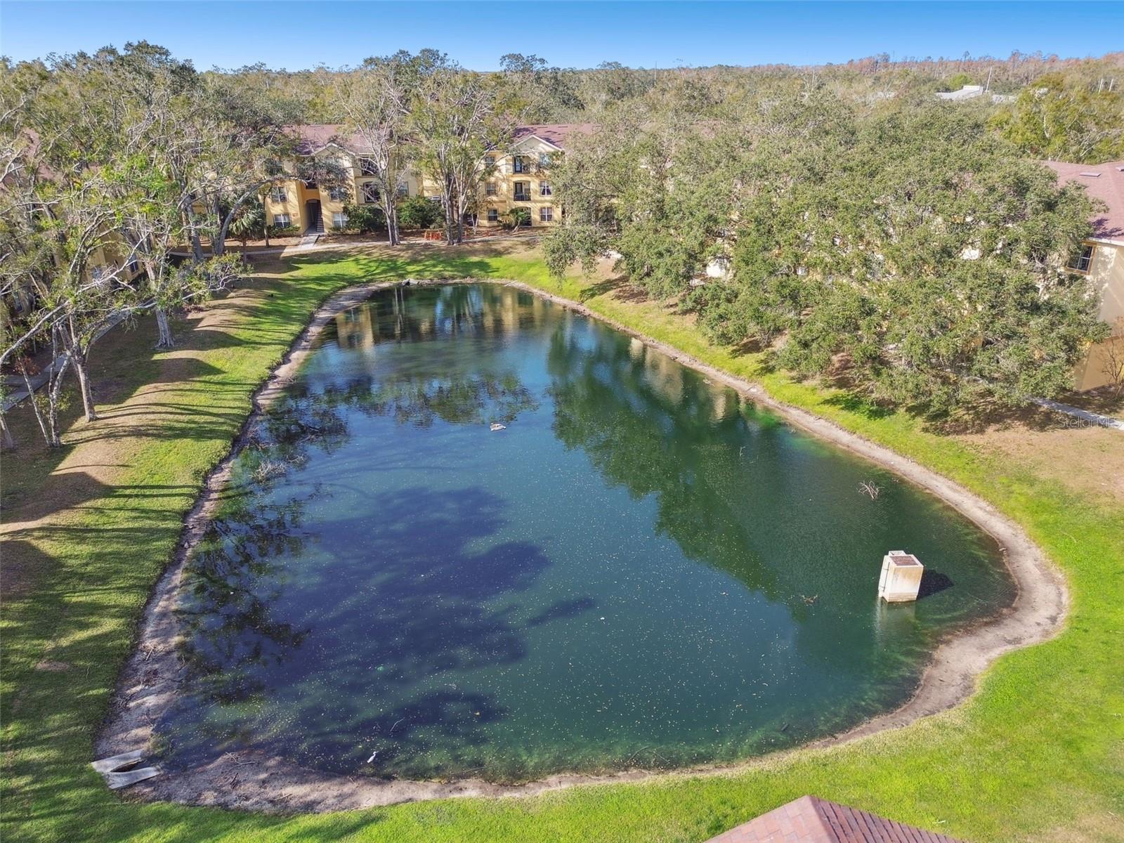 THE PINNACLE AT CARROLLWOOD A - Residential