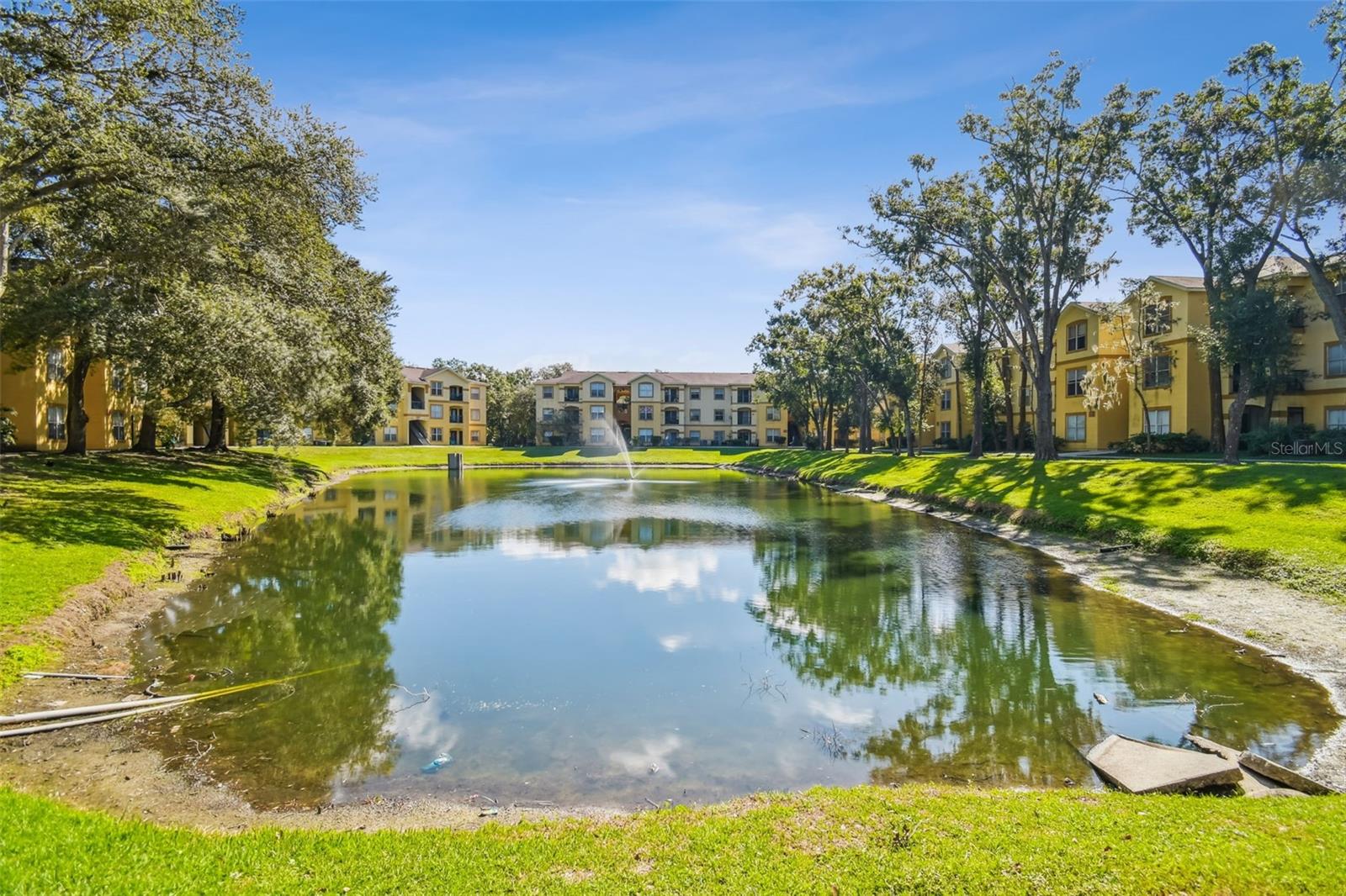 THE PINNACLE AT CARROLLWOOD A - Residential