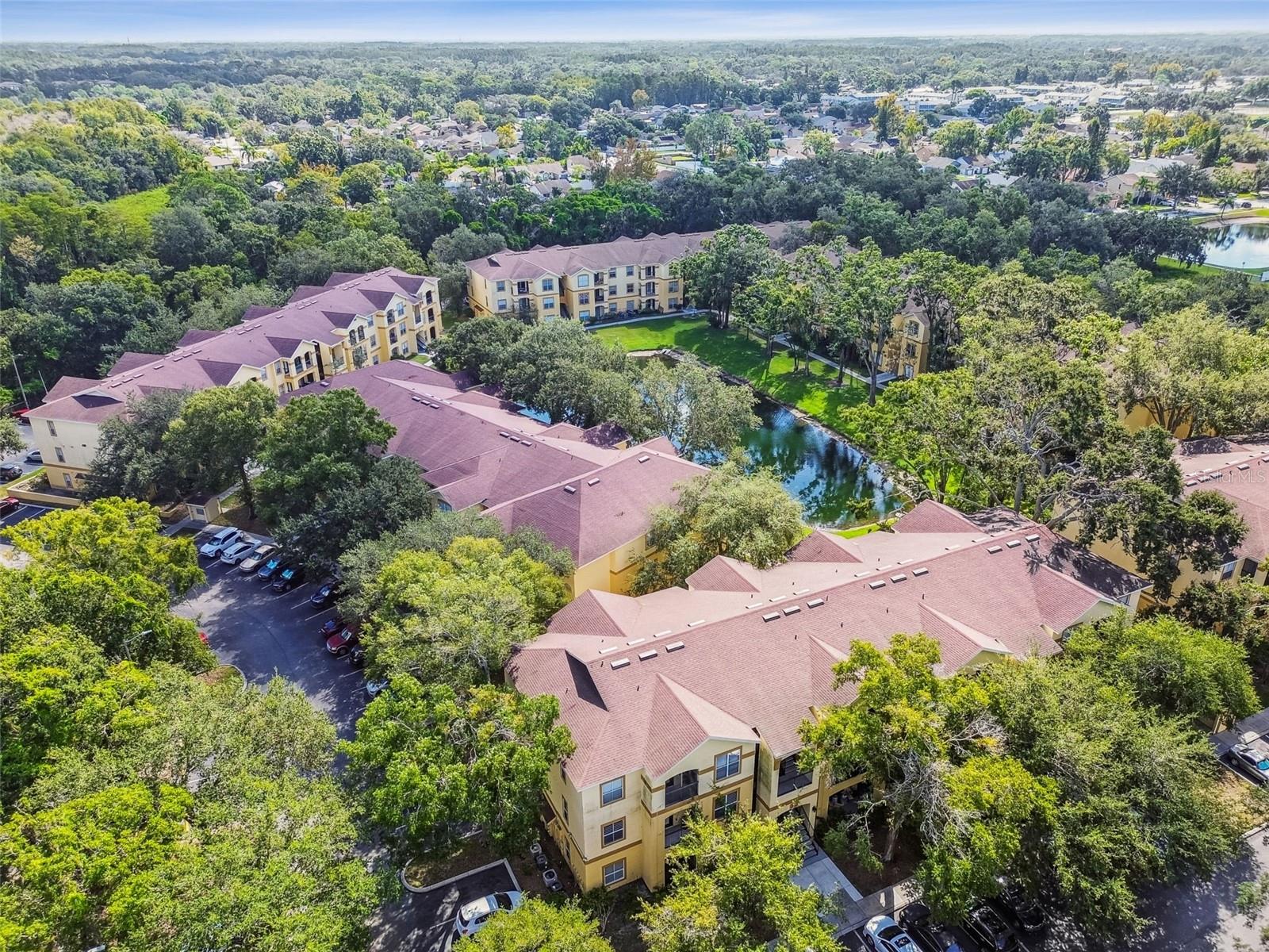 THE PINNACLE AT CARROLLWOOD A - Residential
