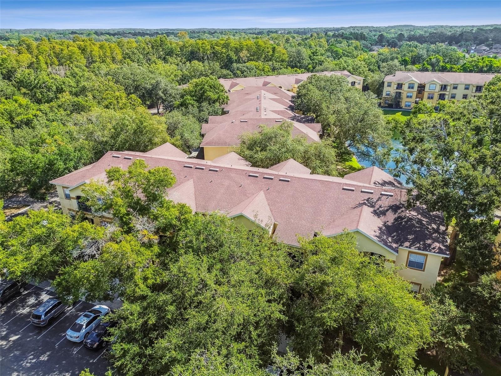 THE PINNACLE AT CARROLLWOOD A - Residential