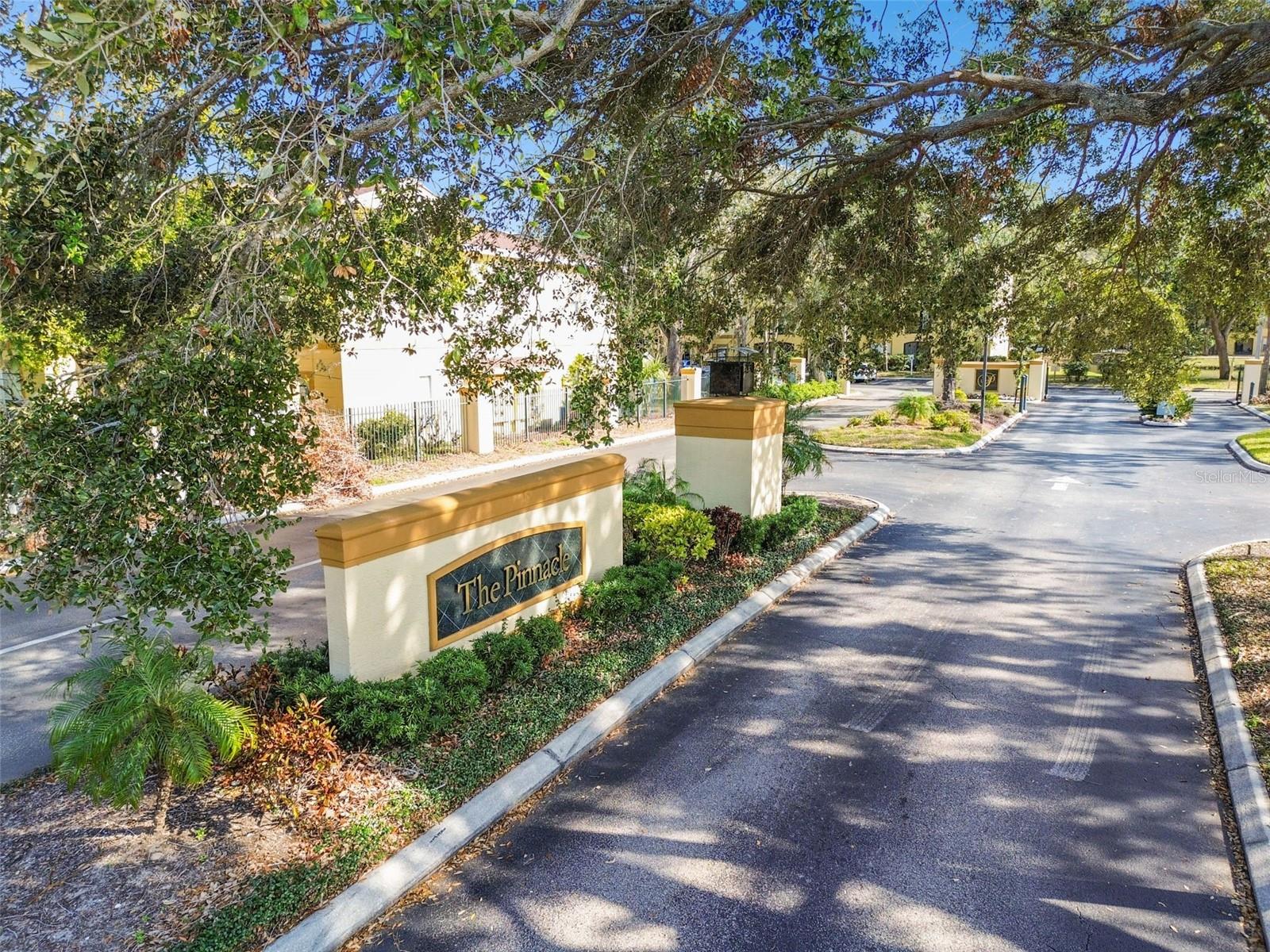 THE PINNACLE AT CARROLLWOOD A - Residential