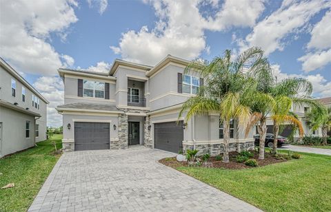 Photo of 32353 Rosewood Meadow Lane, Wesley Chapel, FL 33543 (MLS # TB8503550)