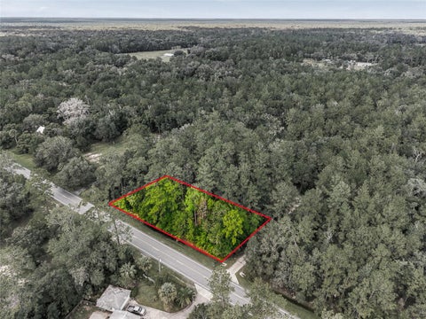 Tiny photo for 314 Highway NE, Silver Springs, FL 34488 (MLS # OM734423)