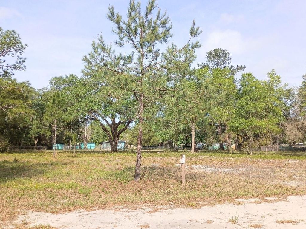 Photo of NE 141st Ct, Fort Mccoy, FL 32134 (MLS # OM722472)