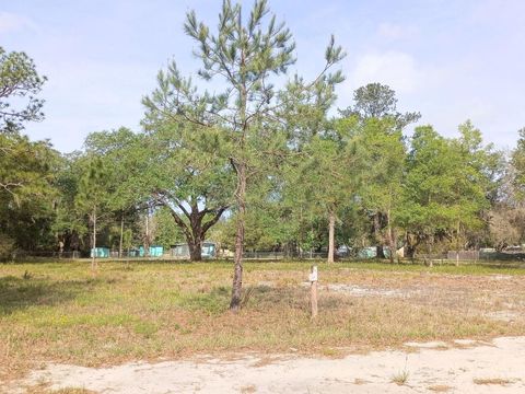 Tiny photo for NE 141st Ct, Fort Mccoy, FL 32134 (MLS # OM722472)