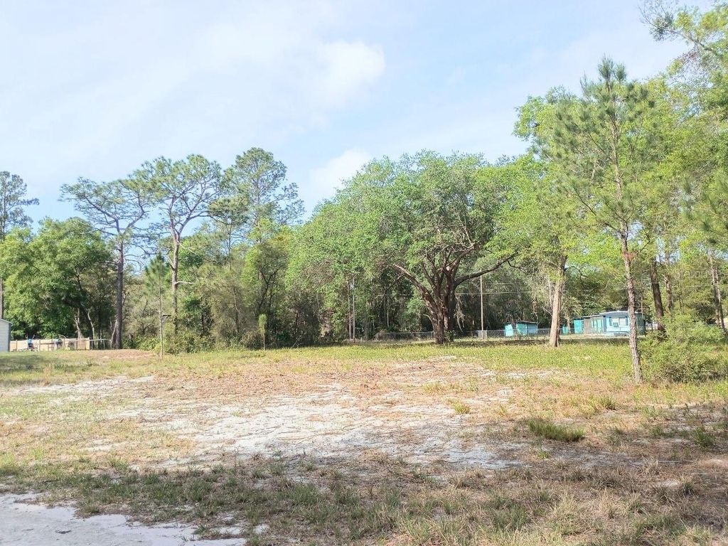 Photo of NE 141st Ct, Fort Mccoy, FL 32134 (MLS # OM722472)