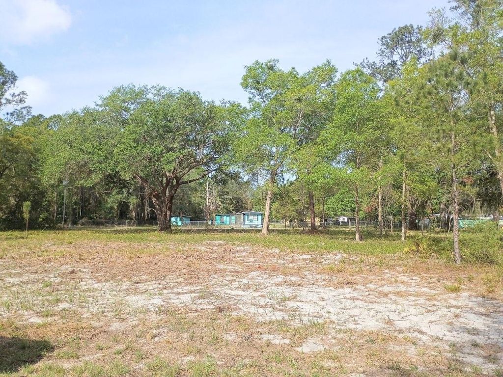 Photo of NE 141st Ct, Fort Mccoy, FL 32134 (MLS # OM722472)