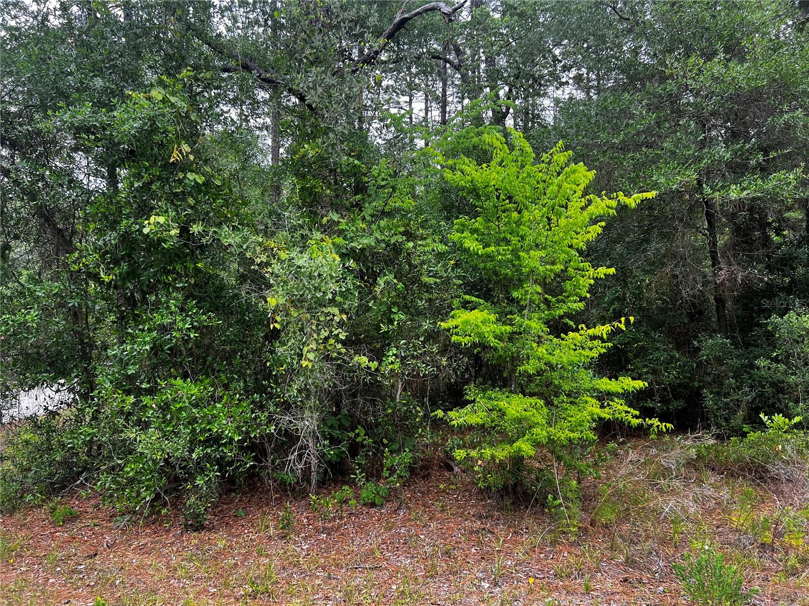 TBD SW 186TH CT.
