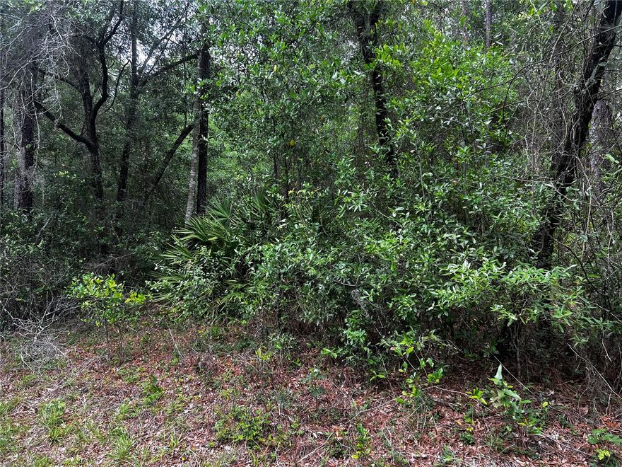 This  exceptional and Prime location 2.10 Acres parcel of buildable Single Family zoned in Dunnellon. Bring you own builder and have a plenty of space and peaceful. Lake Tropicana Ranchettes is one of the best community of Dunnellon. This spacious lot is  the perfect blended for building your dream home in a serena and privacy natural beauty of mature trees and lush surroundings while still being conveniently located a short drive from downtown Dunnellon and all the outdoor recreation.This beautiful 2.10 Acres Lot have privacy, and endless possibilities.This rural location can provide you with the comfort and quiet you are looking for while still being close to Rainbow Springs, Crystal Rivers, where you can enjoy swimming, Boating, Fishing, Kayak, as well as Golf courses are nearby at Juliette Falls across the Street. Bring you own Builder and have your own design and serene and peaceful place. This spacious parcel provide the perfect opportunity for Residential development, Investment, or creating your own private retreat. Enjoy peaceful surroundings while still conveniently located near Shopping, Dinning, Medical Facilities, Pharmacies, Great Schools district, and major roadways, with plenty of room for a custom home, outdoors living, Rv's, Boats or additional structures. this property have flexibility and great potential. Don't miss the opportuity to own in a growing area with future value appreciation. Whether you envision Lake Tropicana Ranchettes provides a relaxed, tranquility with easy access to nature like a paradise this property is ready for your Vision. Make an Appoitment today or Video Tour and discover the magic of living a different lifestyle in the Florida Sunshie State.