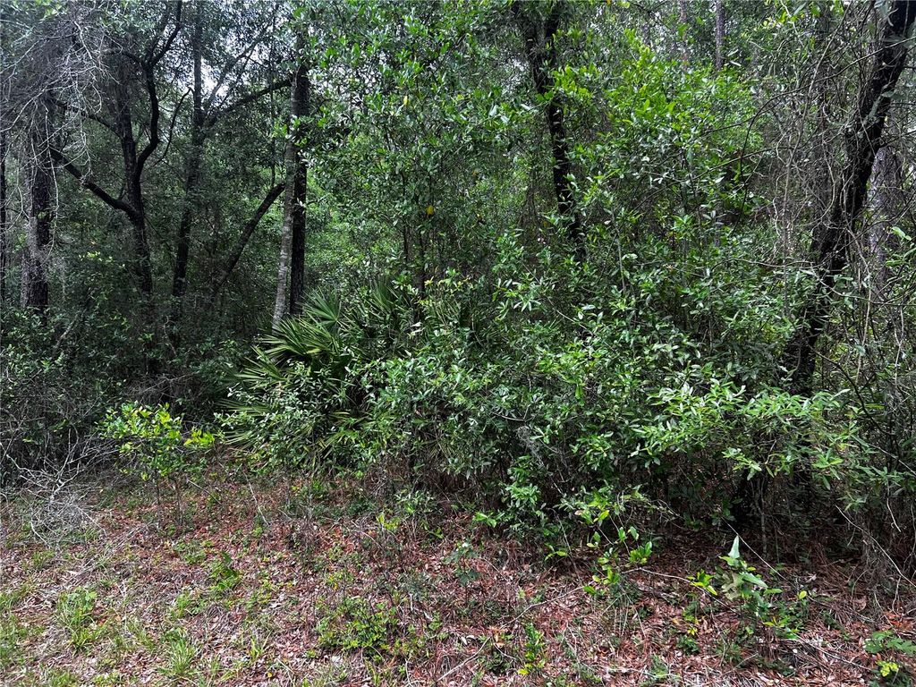 Photo of Tbd SW 186th Ct., Dunnellon, FL 34432 (MLS # OM724855)